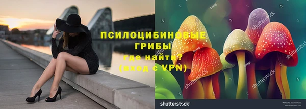 не бодяженный Армянск