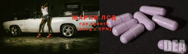 PSILOCYBIN Аркадак