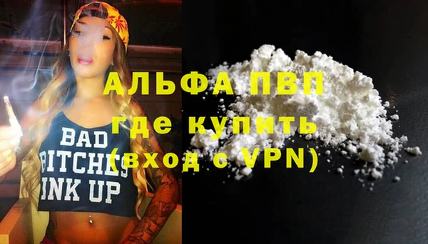 PSILOCYBIN Аркадак