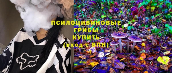 мдпв Нея