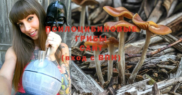 PSILOCYBIN Аркадак
