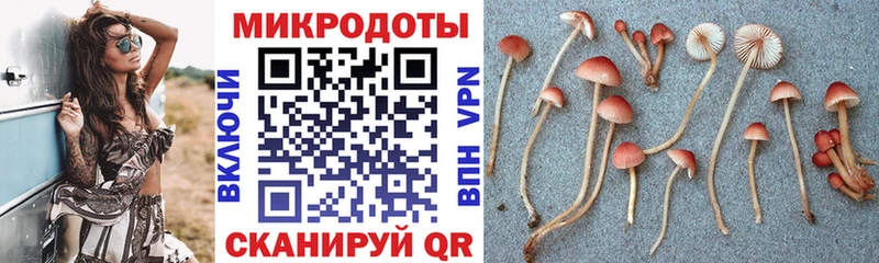 Псилоцибиновые грибы Psilocybine cubensis  купить   Талдом 